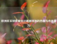 欧洲杯买球数量统计揭秘球迷的热情与市场潜力