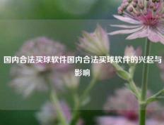 国内合法买球软件国内合法买球软件的兴起与影响