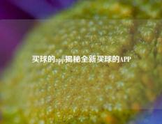 买球的app揭秘全新买球的APP