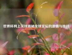 世界杯网上买球揭秘全球足坛的激情与挑战