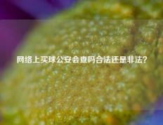 网络上买球公安会查吗合法还是非法？