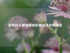 买球投注截图揭秘彩票投注中的秘密