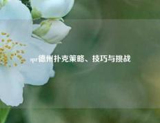 spr德州扑克策略、技巧与挑战
