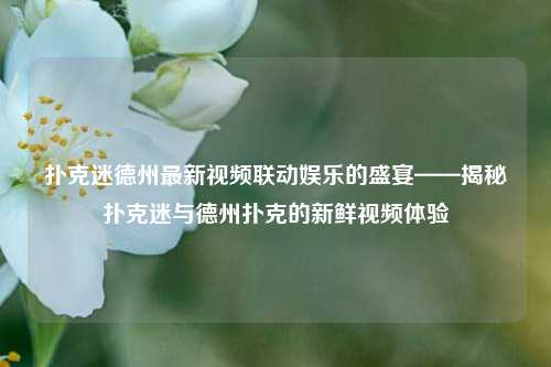 扑克迷德州最新视频联动娱乐的盛宴——揭秘扑克迷与德州扑克的新鲜视频体验