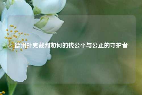 德州扑克裁判如何的钱公平与公正的守护者