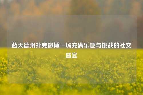 蓝天德州扑克微博一场充满乐趣与挑战的社交盛宴