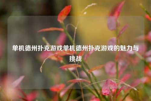 单机德州扑克游戏单机德州扑克游戏的魅力与挑战