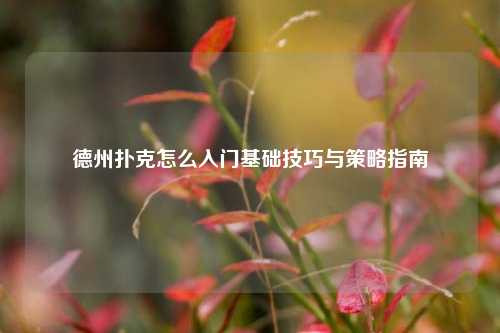 德州扑克怎么入门基础技巧与策略指南