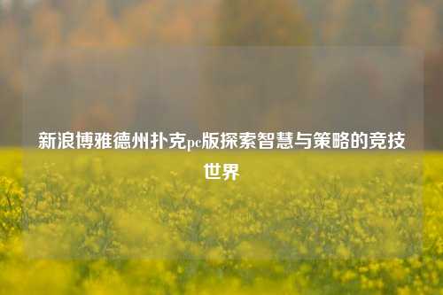 新浪博雅德州扑克pc版探索智慧与策略的竞技世界