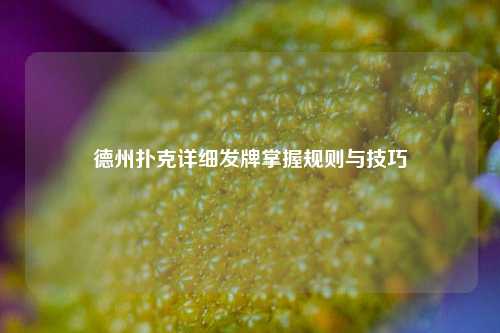 德州扑克详细发牌掌握规则与技巧