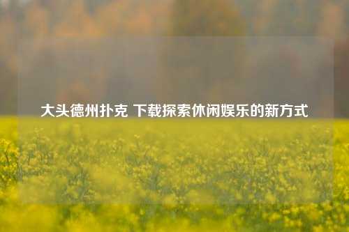 大头德州扑克 下载探索休闲娱乐的新方式