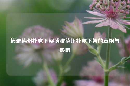 博雅德州扑克下架博雅德州扑克下架的真相与影响