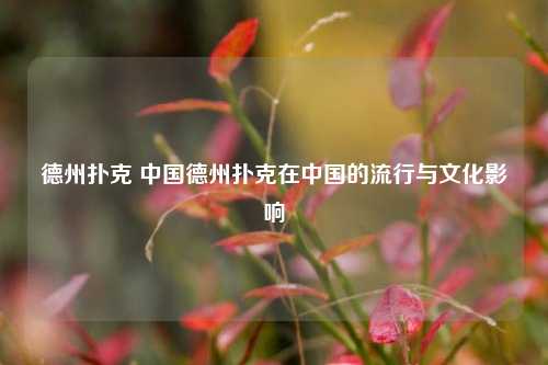 德州扑克 中国德州扑克在中国的流行与文化影响
