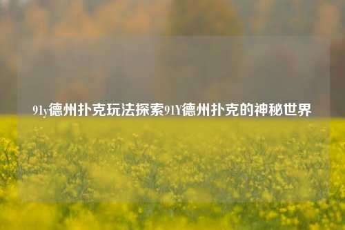 91y德州扑克玩法探索91Y德州扑克的神秘世界