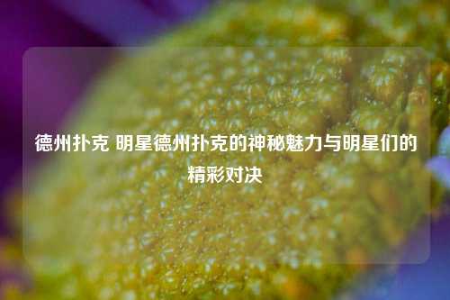德州扑克 明星德州扑克的神秘魅力与明星们的精彩对决