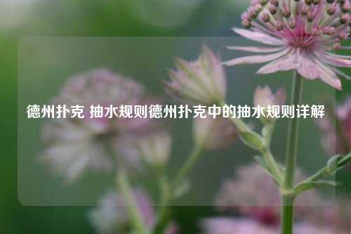 德州扑克 抽水规则德州扑克中的抽水规则详解