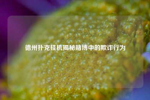 德州扑克挂机揭秘赌博中的欺诈行为