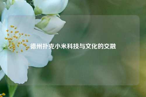 德州扑克小米科技与文化的交融