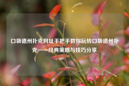 口袋德州扑克网址手把手教你玩转口袋德州扑克——经典策略与技巧分享