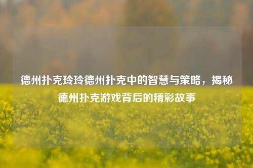 德州扑克玲玲德州扑克中的智慧与策略，揭秘德州扑克游戏背后的精彩故事