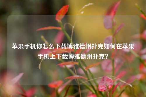苹果手机你怎么下载博雅德州扑克如何在苹果手机上下载博雅德州扑克？