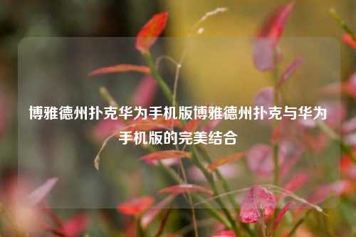 博雅德州扑克华为手机版博雅德州扑克与华为手机版的完美结合