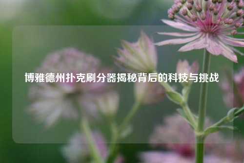 博雅德州扑克刷分器揭秘背后的科技与挑战