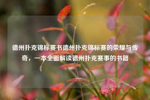 德州扑克锦标赛书德州扑克锦标赛的荣耀与传奇，一本全面解读德州扑克赛事的书籍