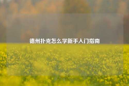 德州扑克怎么学新手入门指南