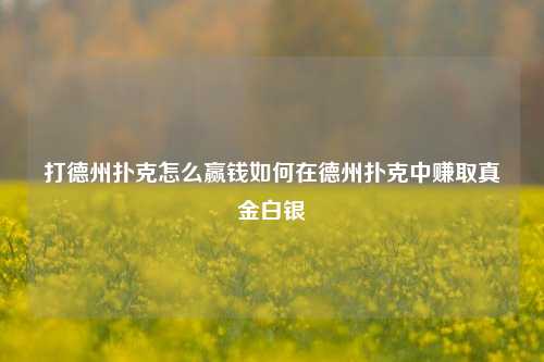 打德州扑克怎么赢钱如何在德州扑克中赚取真金白银