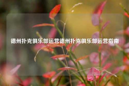 德州扑克俱乐部运营德州扑克俱乐部运营指南