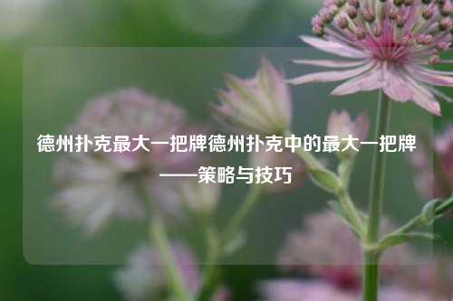 德州扑克最大一把牌德州扑克中的最大一把牌——策略与技巧