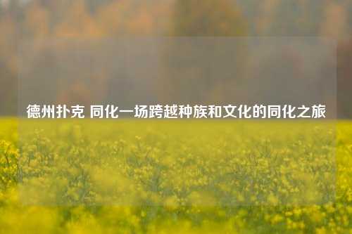 德州扑克 同化一场跨越种族和文化的同化之旅