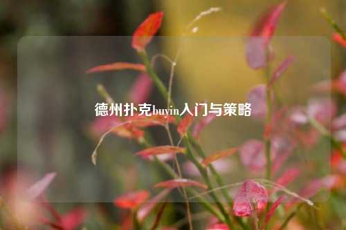 德州扑克buyin入门与策略