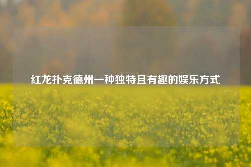 红龙扑克德州一种独特且有趣的娱乐方式