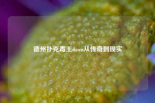 德州扑克毒王dawn从传奇到现实