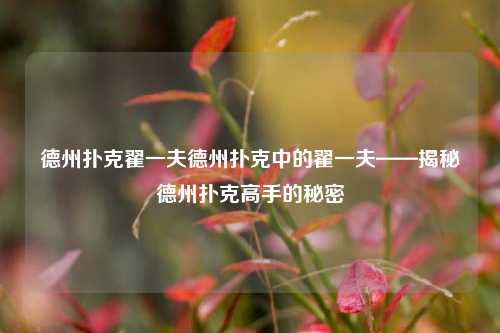 德州扑克翟一夫德州扑克中的翟一夫——揭秘德州扑克高手的秘密