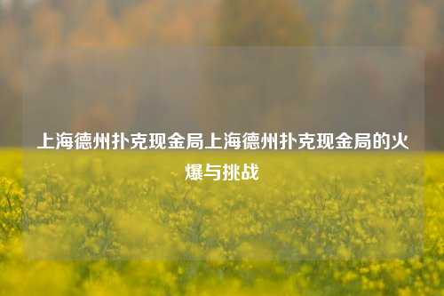 上海德州扑克现金局上海德州扑克现金局的火爆与挑战
