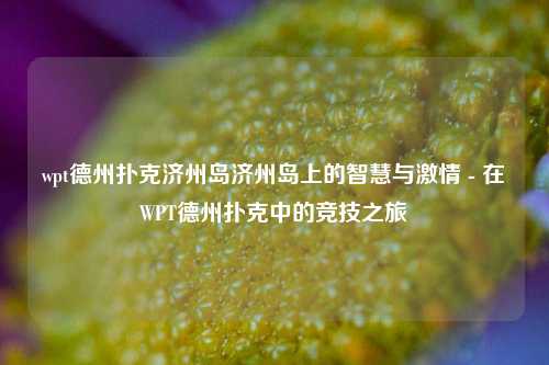 wpt德州扑克济州岛济州岛上的智慧与激情 - 在WPT德州扑克中的竞技之旅
