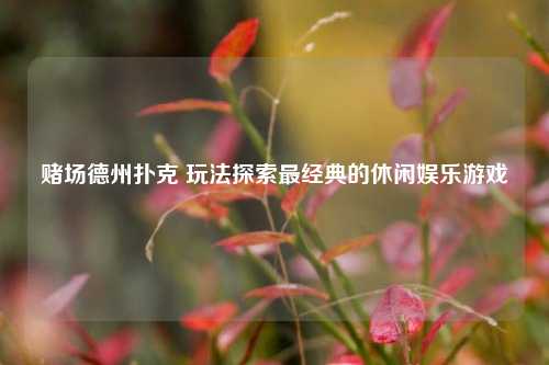 赌场德州扑克 玩法探索最经典的休闲娱乐游戏