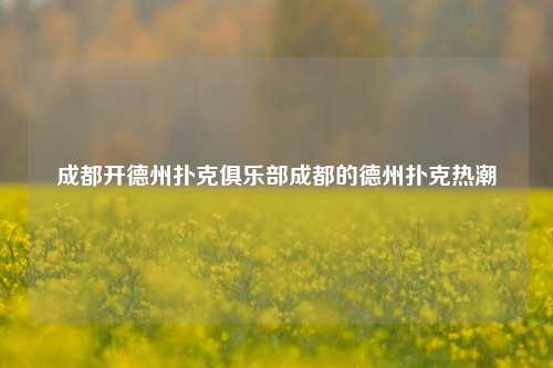 成都开德州扑克俱乐部成都的德州扑克热潮