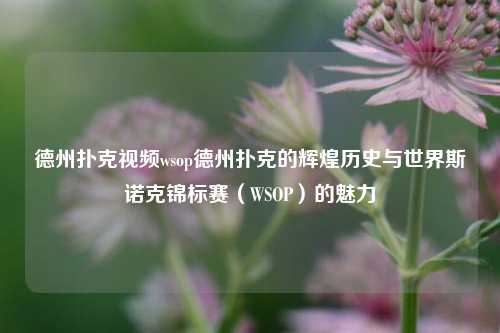 德州扑克视频wsop德州扑克的辉煌历史与世界斯诺克锦标赛（WSOP）的魅力