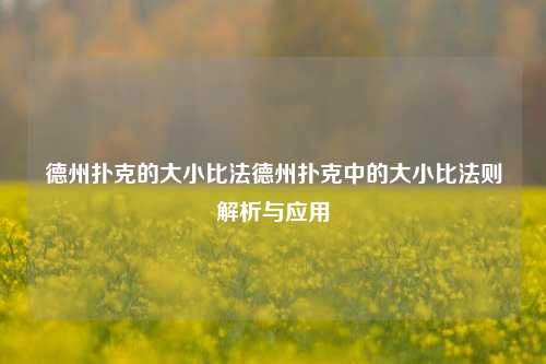德州扑克的大小比法德州扑克中的大小比法则解析与应用
