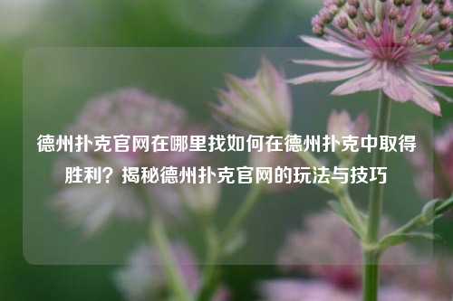 德州扑克官网在哪里找如何在德州扑克中取得胜利？揭秘德州扑克官网的玩法与技巧