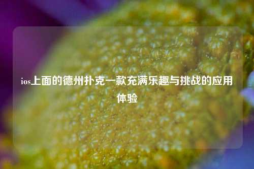 ios上面的德州扑克一款充满乐趣与挑战的应用体验