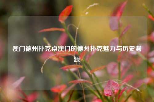 澳门德州扑克桌澳门的德州扑克魅力与历史渊源