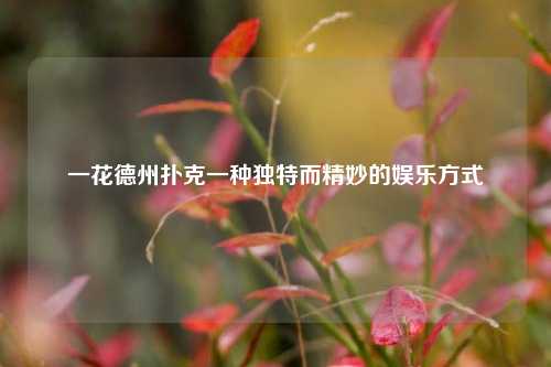 一花德州扑克一种独特而精妙的娱乐方式