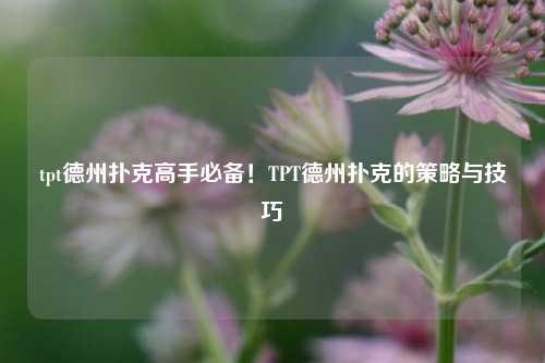 tpt德州扑克高手必备！TPT德州扑克的策略与技巧