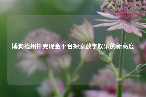 博狗德州扑克现金平台探索数字娱乐的新高度