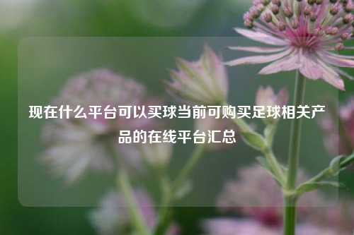 现在什么平台可以买球当前可购买足球相关产品的在线平台汇总